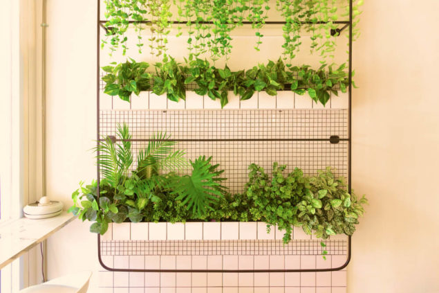 Aprenda a montar um jardim vertical no apê