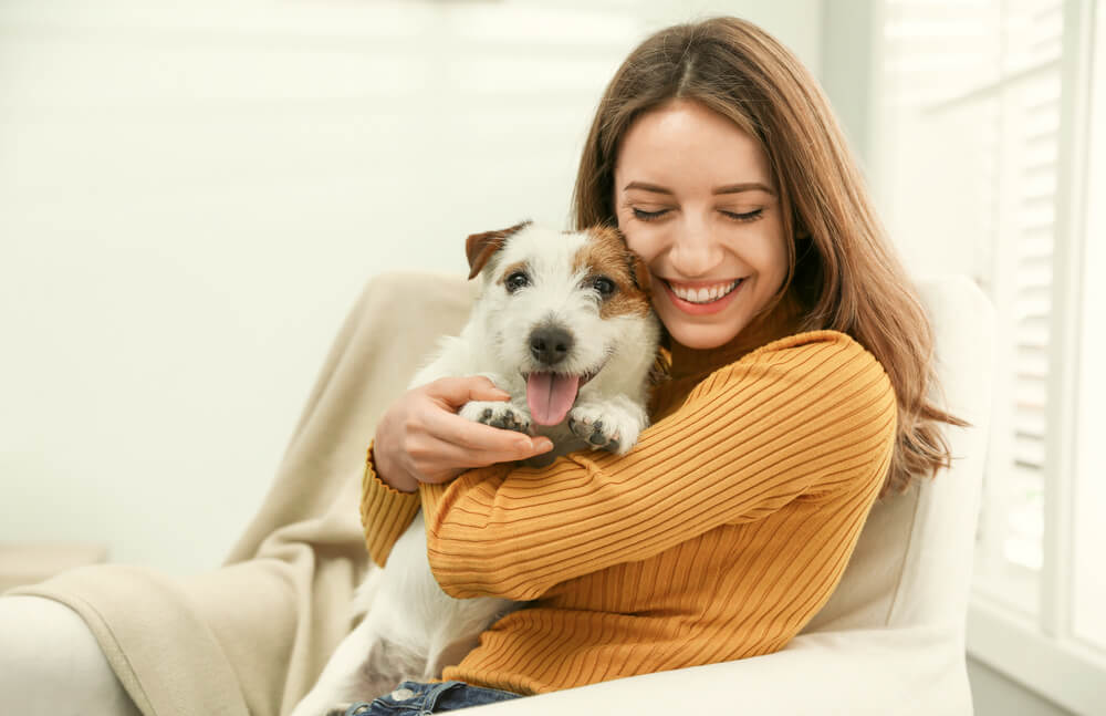 Jogos de Cão e Gato - Divertindo os pets em casa!