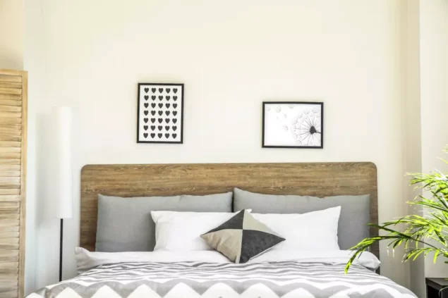 dia da consciencia negra