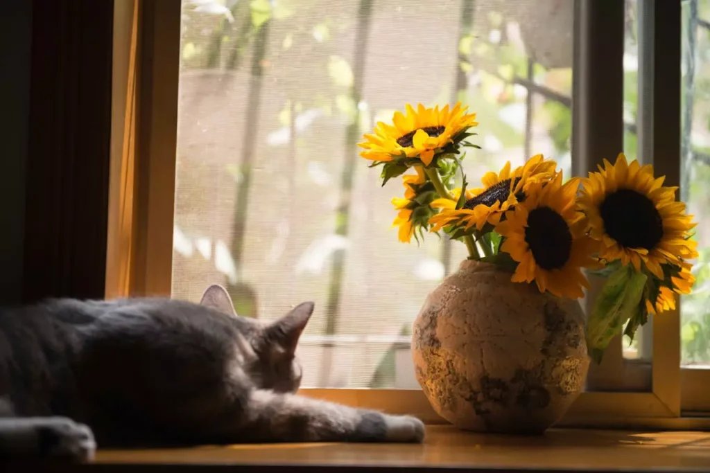 onde colocar as flores no apartamento