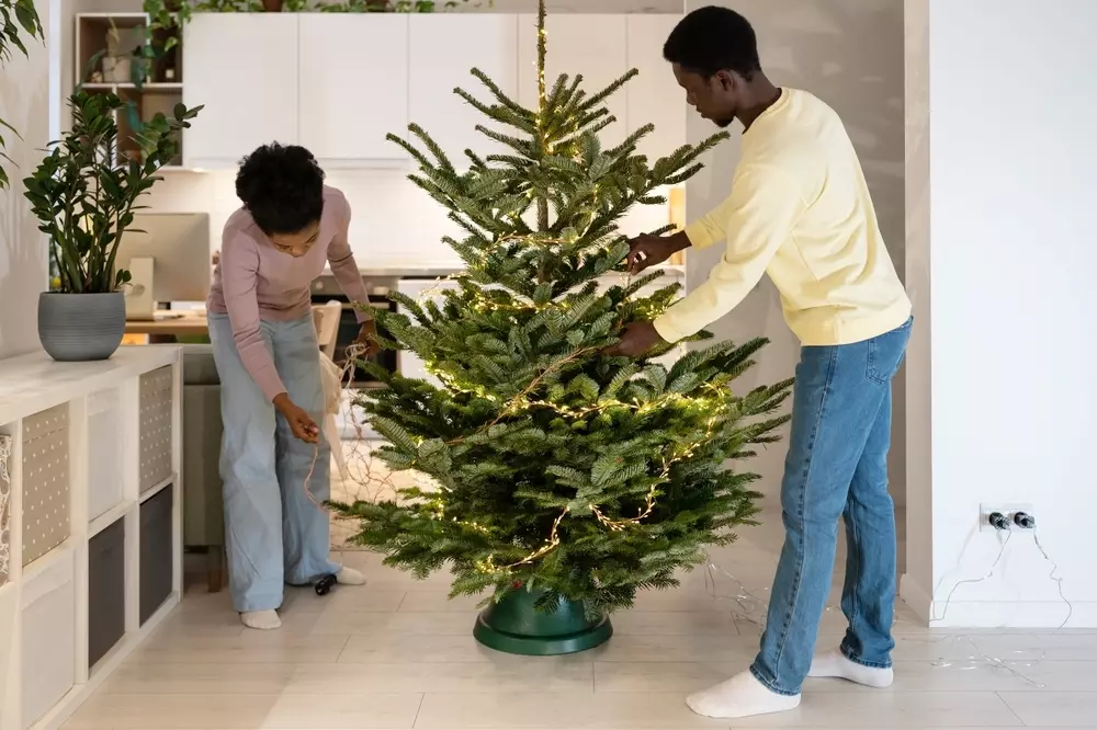 Feng Shui na decoração de Natal árvore de Natal