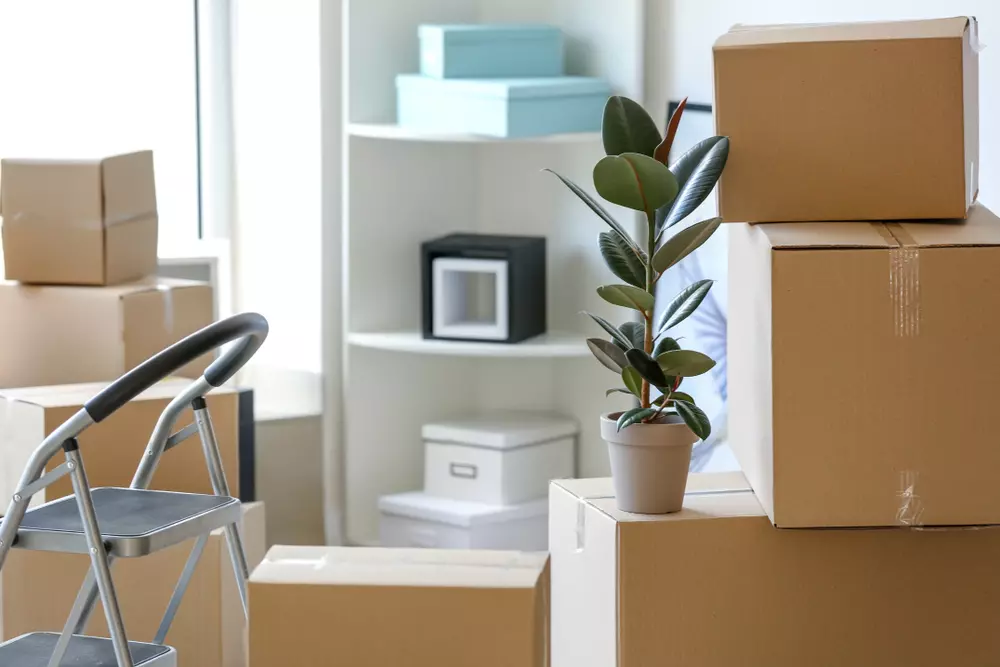 caixas de papelão guardando itens que estão bloqueando o caminho e a passagem do apartamento
