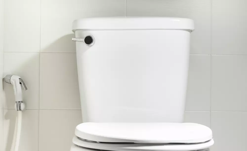 escolher o vaso sanitário