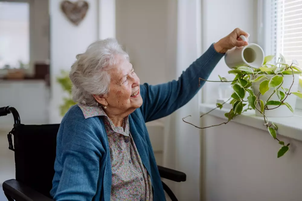 Idosa cuidando de plantas com cuidado na janela da sua casa, promovendo bem-estar e conexão com a natureza.