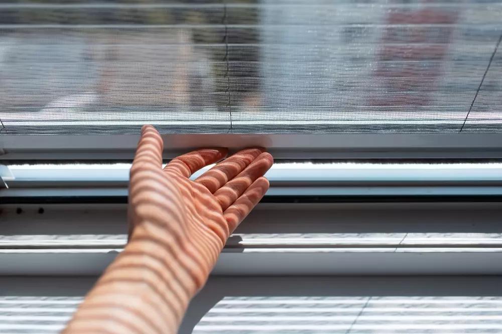 Proteção em janela com design antipragas, utilizando telas solares e sistemas de vedação eficientes para segurança e conforto residencial.