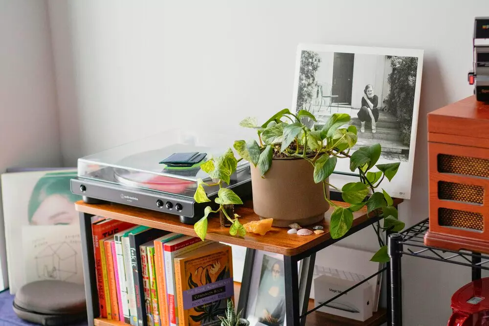Ambiente organizado no estilo cluttercore com objetos diversos, livros empilhados, planta em vaso, e itens de decoração na sala.