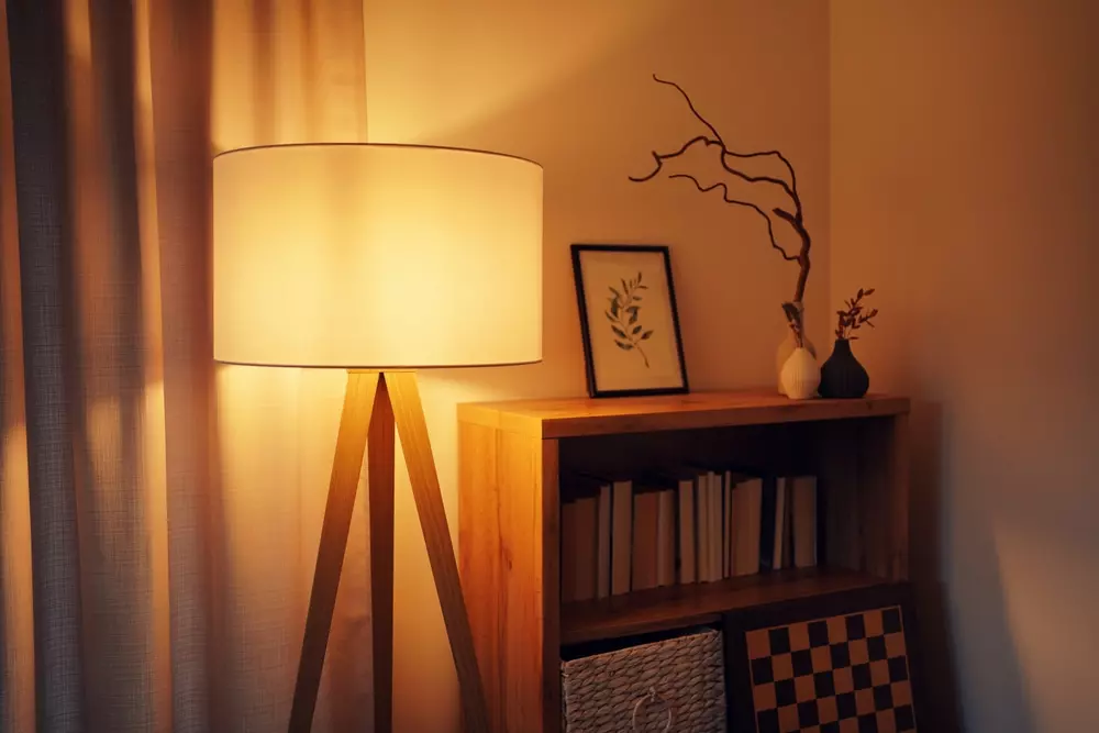 Sala aconchegante com iluminação focal nos cantos, luminária de chão ao lado de uma estante de madeira com livros e decoração com vasos e quadro.