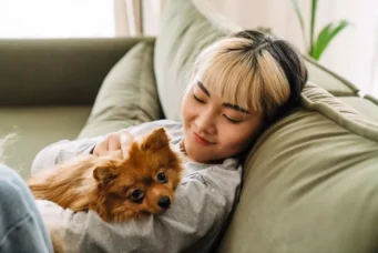 manter apê limpo com pets