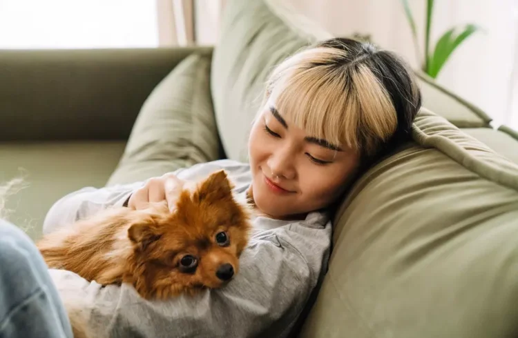 manter apê limpo com pets