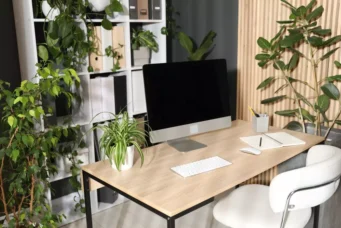 Ambiente de escritório com decoração biofílica, focando na inclusão de várias plantas verdes para criar um espaço de trabalho mais natural e relaxante.
