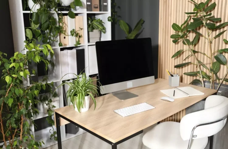 Ambiente de escritório com decoração biofílica, focando na inclusão de várias plantas verdes para criar um espaço de trabalho mais natural e relaxante.