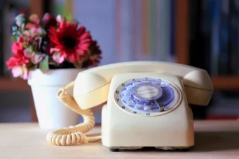 Um telefone antigo ao lado de um vaso com flores, representando a nostalgia da moda que virou tendência de decoração, ligada ao tema 'do meme à moda'.