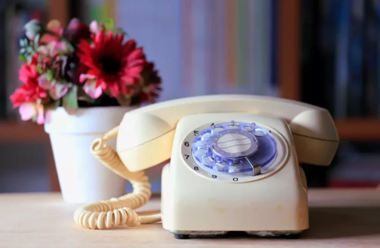 Um telefone antigo ao lado de um vaso com flores, representando a nostalgia da moda que virou tendência de decoração, ligada ao tema 'do meme à moda'.