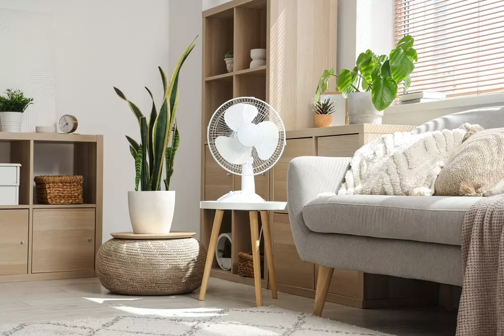 Controle de mofo em ambientes internos com circulação de ar, ventiladores e plantas presentes na sala moderna e bem decorada.