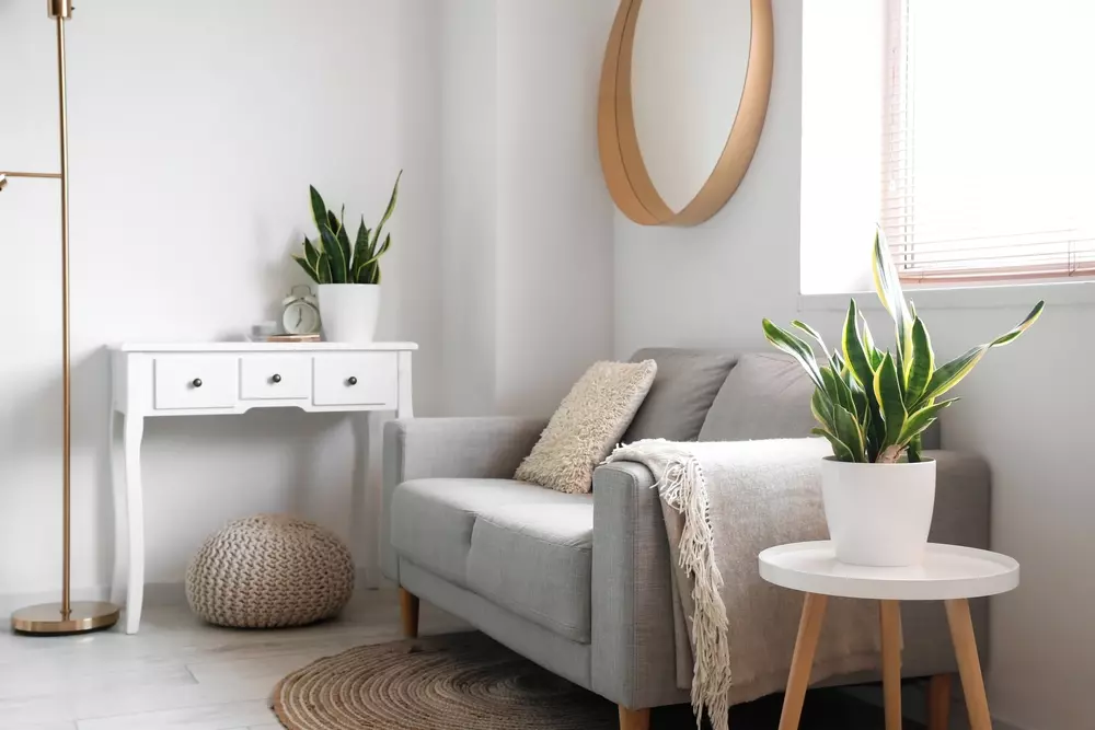 Sala moderna com decoração biofílica, iluminada pela luz natural, com plantas em vasos brancos, sofá cinza, espelho redondo na parede e ambiente aconchegante.