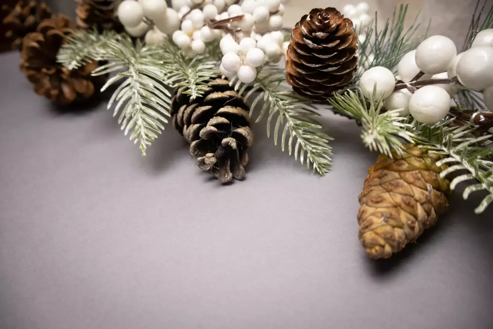 Decoração de minimalismo natalino com elementos naturais como pinhões, pinhas, galhos de pinheiro e frutos brancos, criando um clima aconchegante e simples.