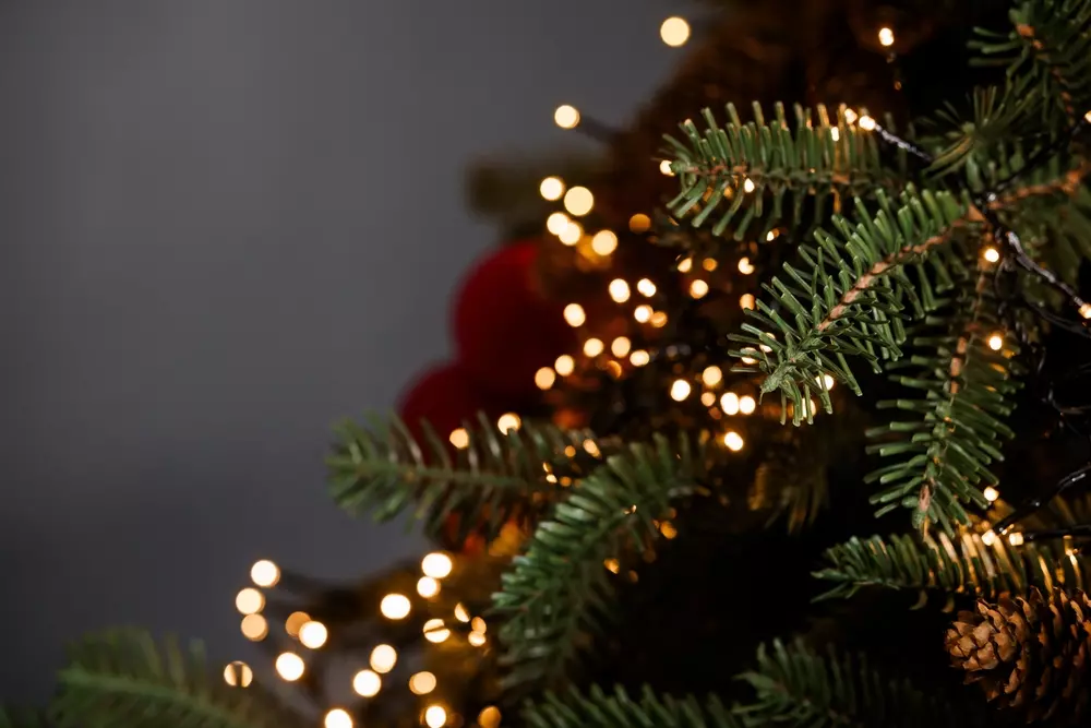 Detalhes de uma árvore de Natal decorada com luzes e pinhas, criando uma atmosfera festiva e aconchegante para o Natal.