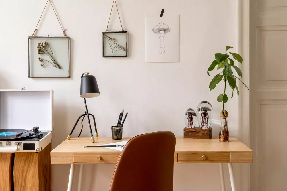 mesa de trabalho organizada com uma planta e um abajur em cima