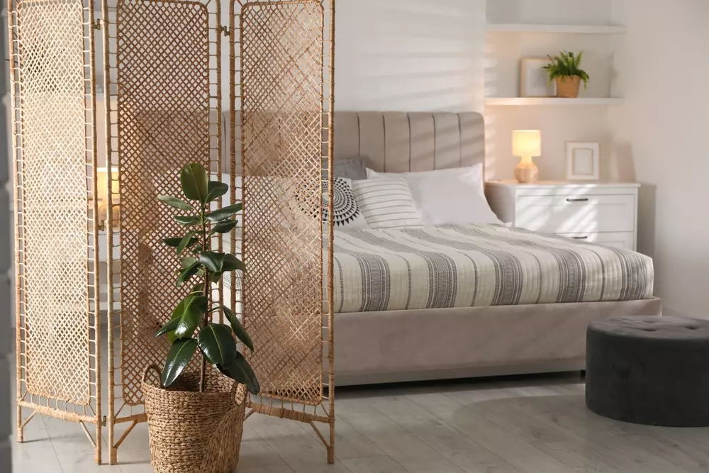 Espaço decorativo com biombo decorativo em madeira e uma planta em vaso de fibra natural, criando divisão elegante em sala de estar moderna.