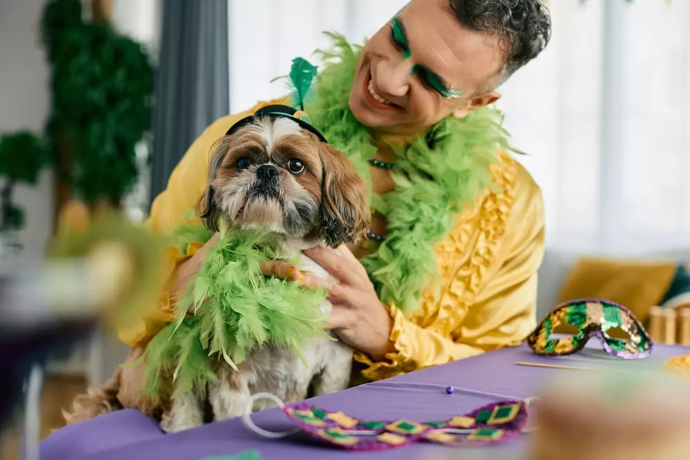 Homem feliz com máscara de Carnaval e cachorro também decorado com acessórios coloridos, em ambiente de casa decorada para o Carnaval